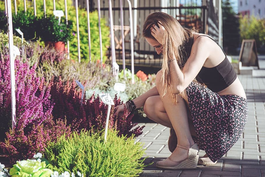 Choosing Plants