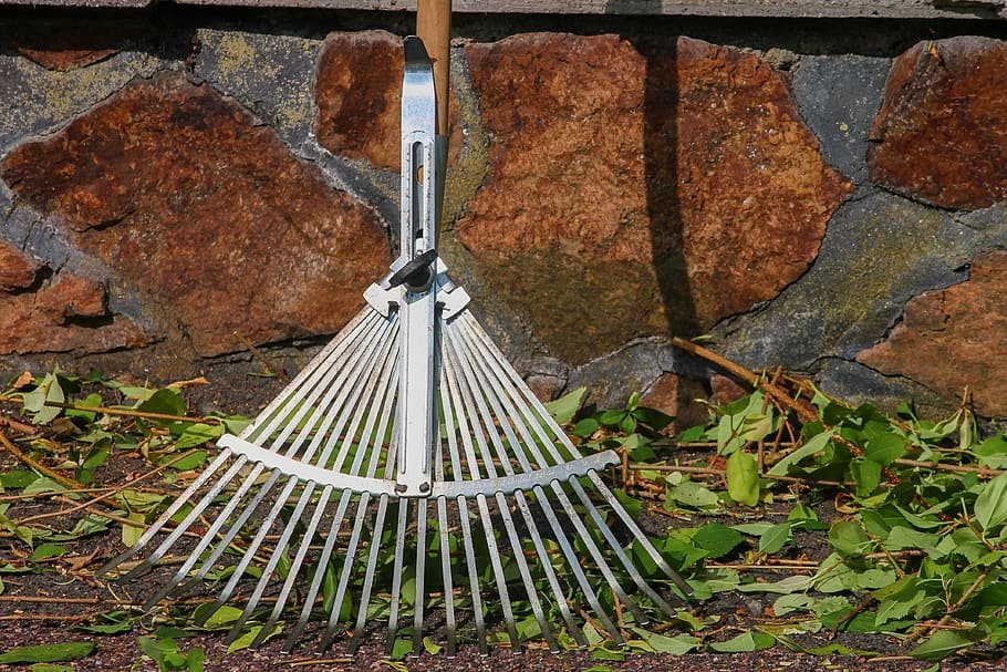 Rake