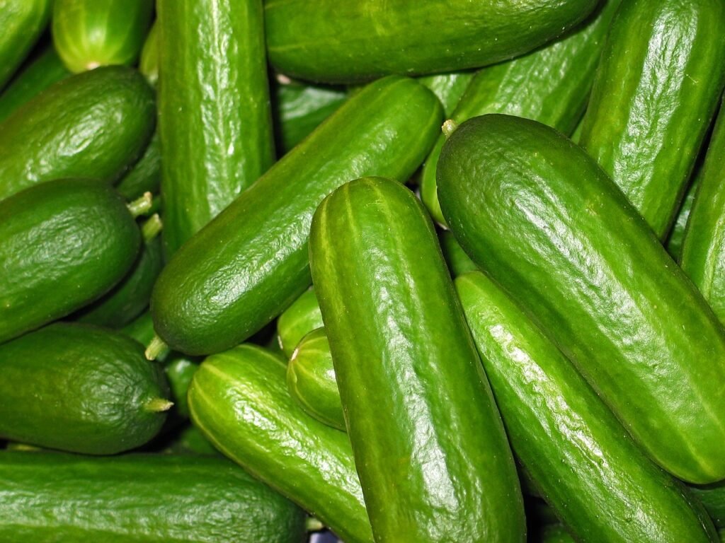 cucumbers