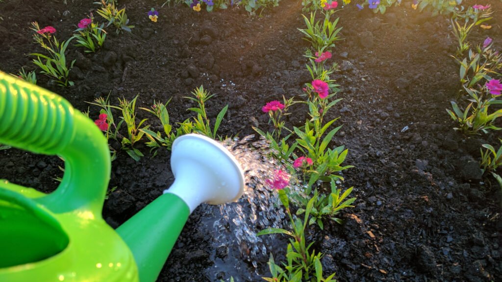 Watering Plants