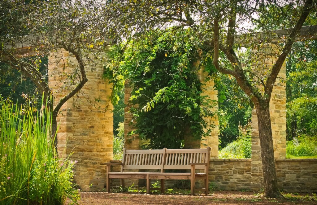 Backyard Garden