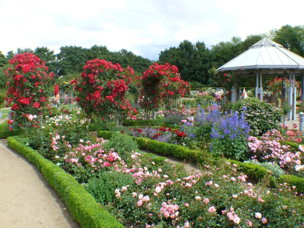 Fragrant Garden