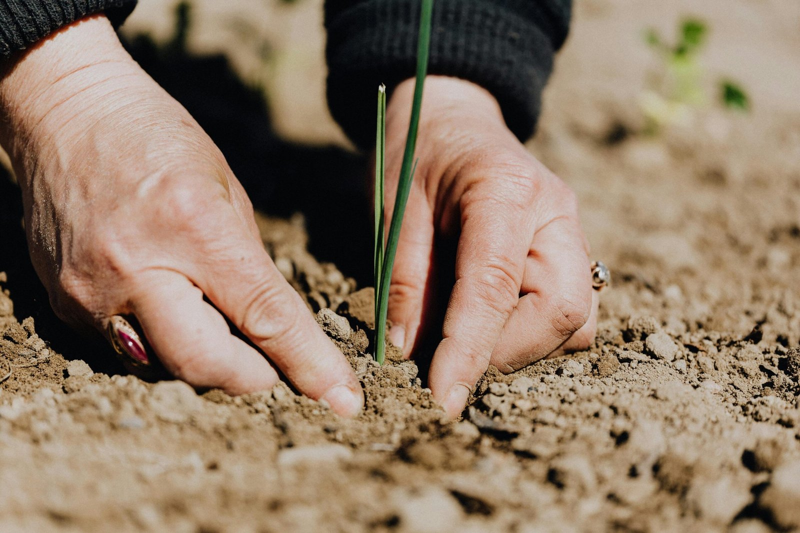 Soil Vitality