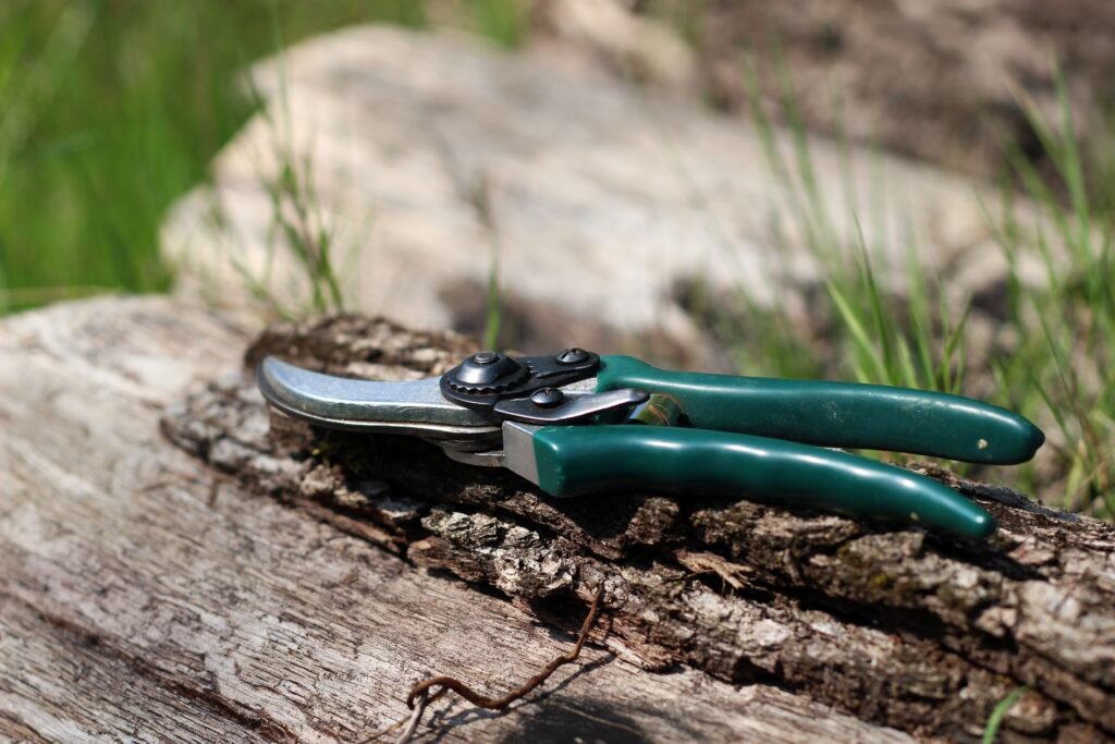 Hand Pruning Shears
