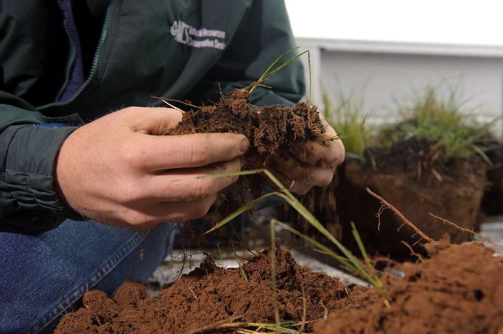 Soil Testing