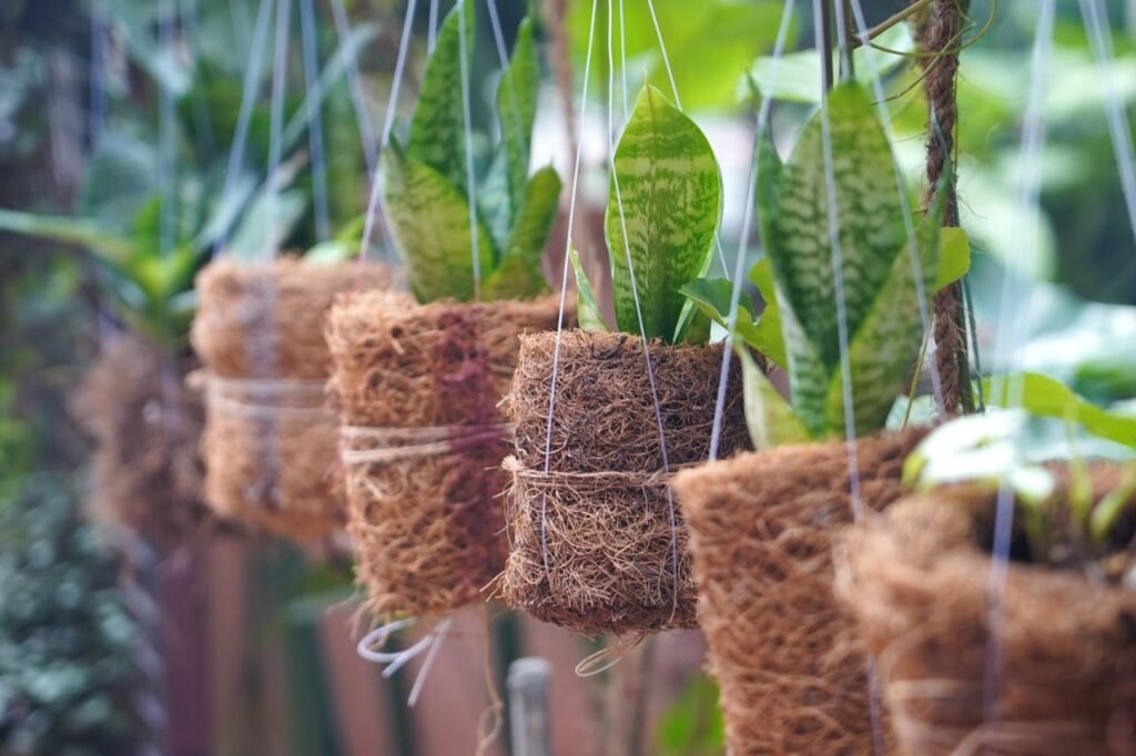 Hanging Planters